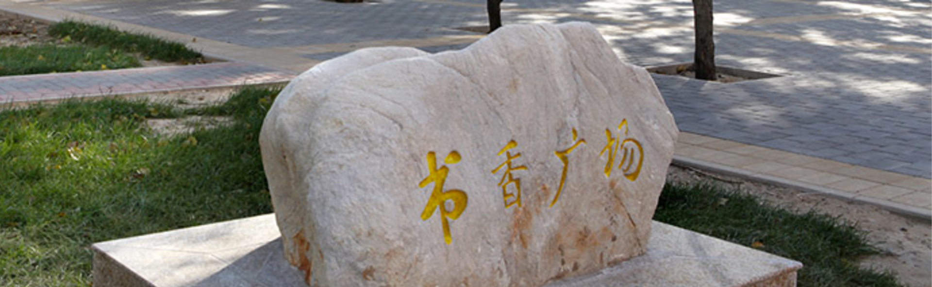 365(VIP)英国上市公